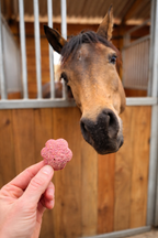 Les seaux de friandises pour chevaux Candee Horse