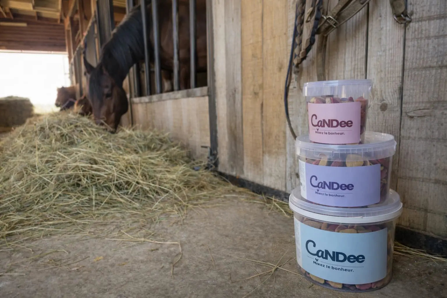 Seaux de friandises naturelles pour chevaux Candee Horse dans une écurie